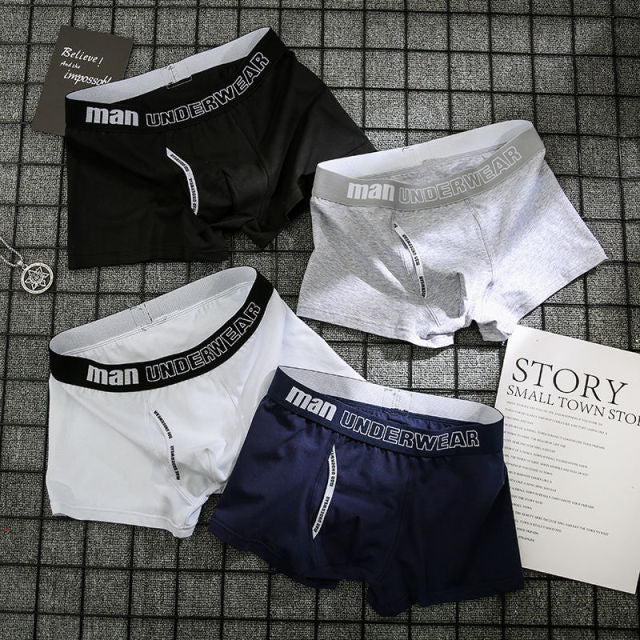 4pcs Male Panties Cotton Men's Underwear Boxers Breathable Man Boxer Solid Underpants Comfortable Brand Shorts men underwear 365
