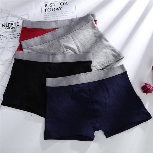 4pcs Male Panties Cotton Men's Underwear Boxers Breathable Man Boxer Solid Underpants Comfortable Brand Shorts men underwear 365