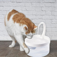 Pet Water Fountain Automatic Power-off When Lack of Water Bird Water Dispenser Dog Drinking Fountain With LED Light water level