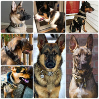 Durable Tactical Dog Collar Leash Adjustable Handle Training Nylon Pet Military Collar German Shepard Medium Large Dogs