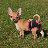 Female Dog Shorts Puppy Physiological Pants Diaper Pet Underwear For Small Meidium Girl Dogs