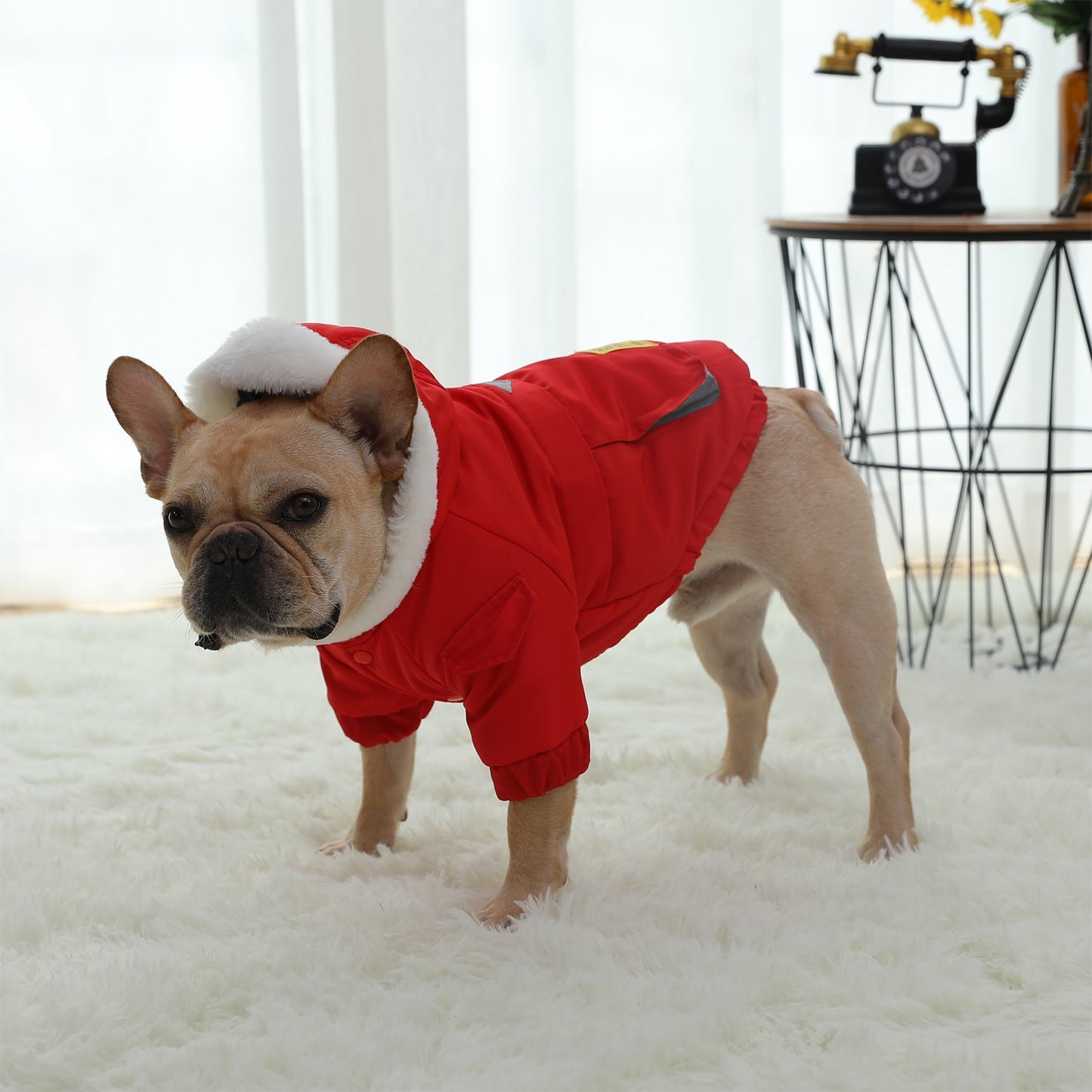 Hoopet Winter Warm Coat For Small Dogs Thickened Pet Jacket French Bulldog Puppy Clothing Shirt Soft Outerwear Dog Suppliers
