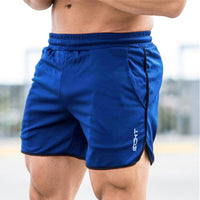 Gyms Shorts Men Quick Dry For Running Shorts Men Fitness Sport Shorts Male Training Sports Short Pants Sport Man Clothing