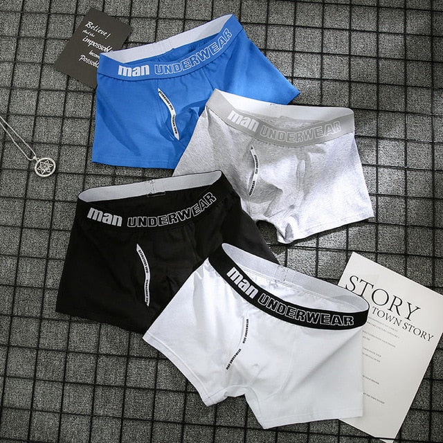 4pcs Male Panties Cotton Men's Underwear Boxers Breathable Man Boxer Solid Underpants Comfortable Brand Shorts men underwear 365